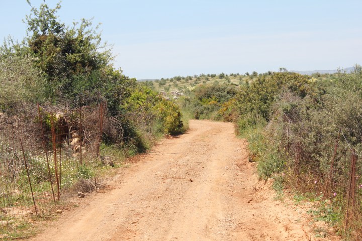 Fallschirmjager 3 064